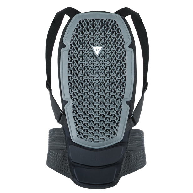 Картинка Защита DAINESE PRO ARMOR BACK PROTECTOR G1 от магазина Seller — готовый магазин одежды