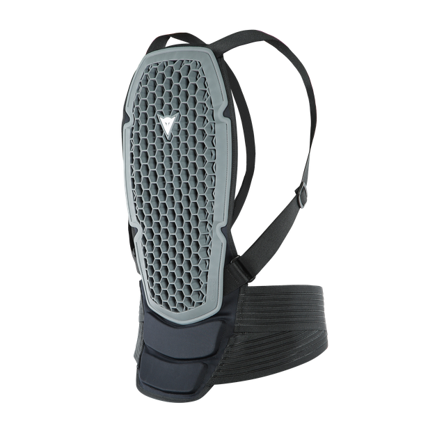 Картинка Защита DAINESE PRO ARMOR BACK PROTECTOR G2 от магазина Seller — готовый магазин одежды