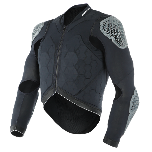 Картинка Защита DAINESE RHYOLITE 2 WINTER от магазина Seller — готовый магазин одежды